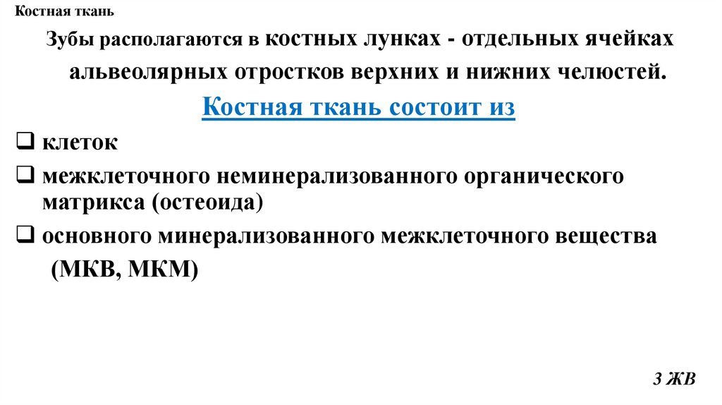 Костная ткань