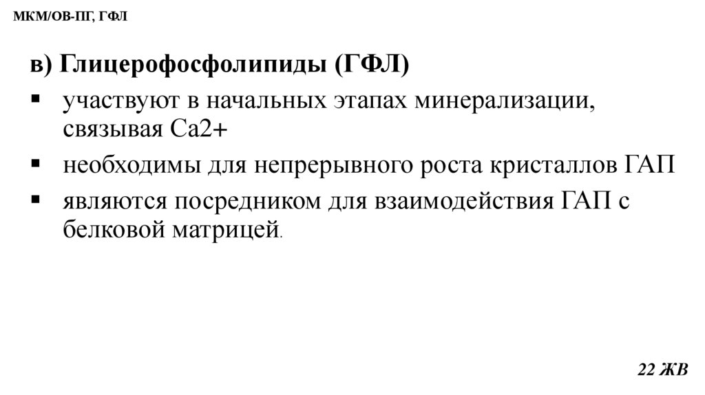 МКМ/ОВ-ПГ, ГФЛ