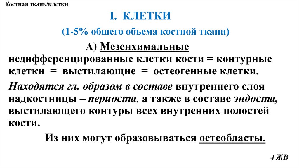 Костная ткань/клетки