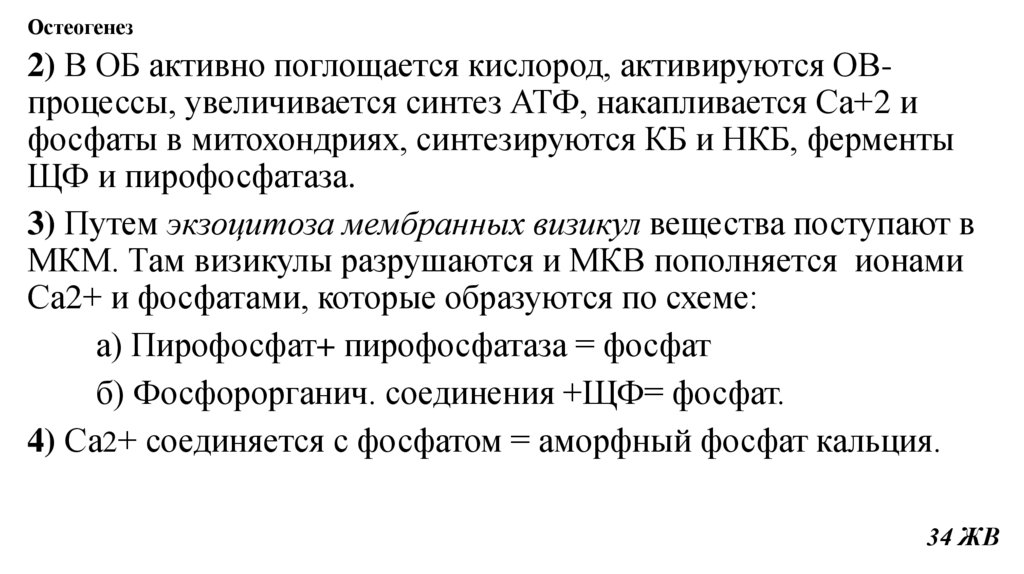 Остеогенез