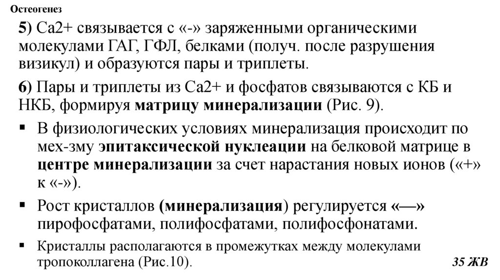 Остеогенез