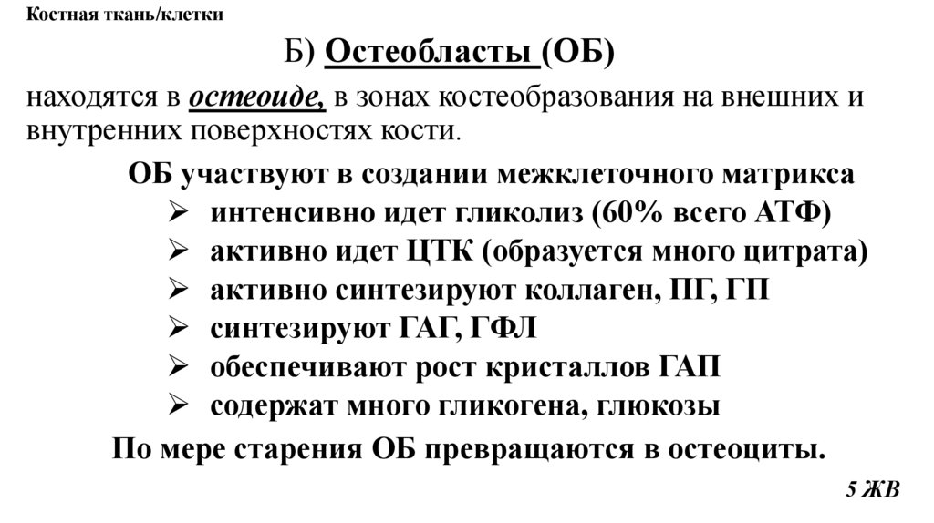 Костная ткань/клетки