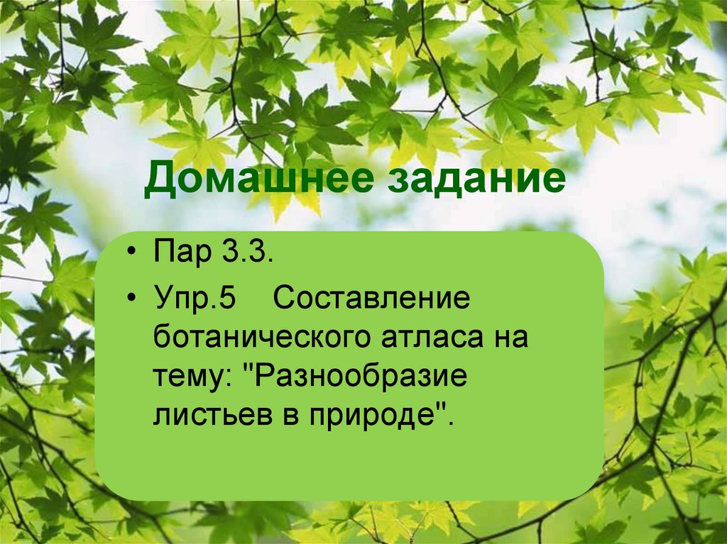 Домашнее задание