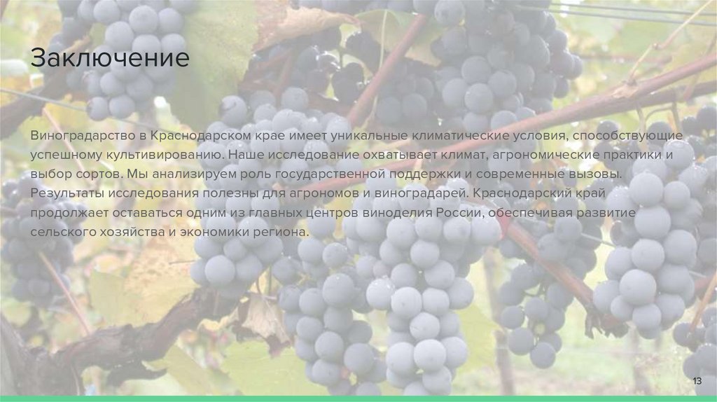 Заключение