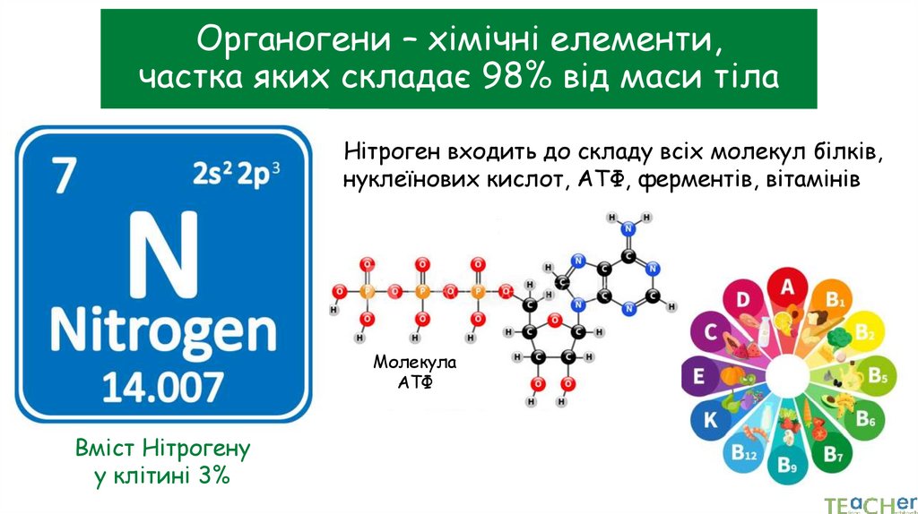 Органогени – хімічні елементи, частка яких складає 98% від маси тіла