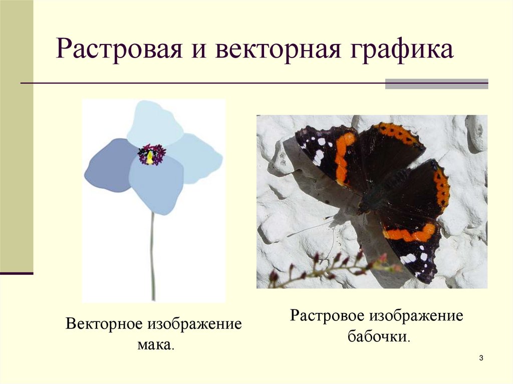 Растровая и векторная графика