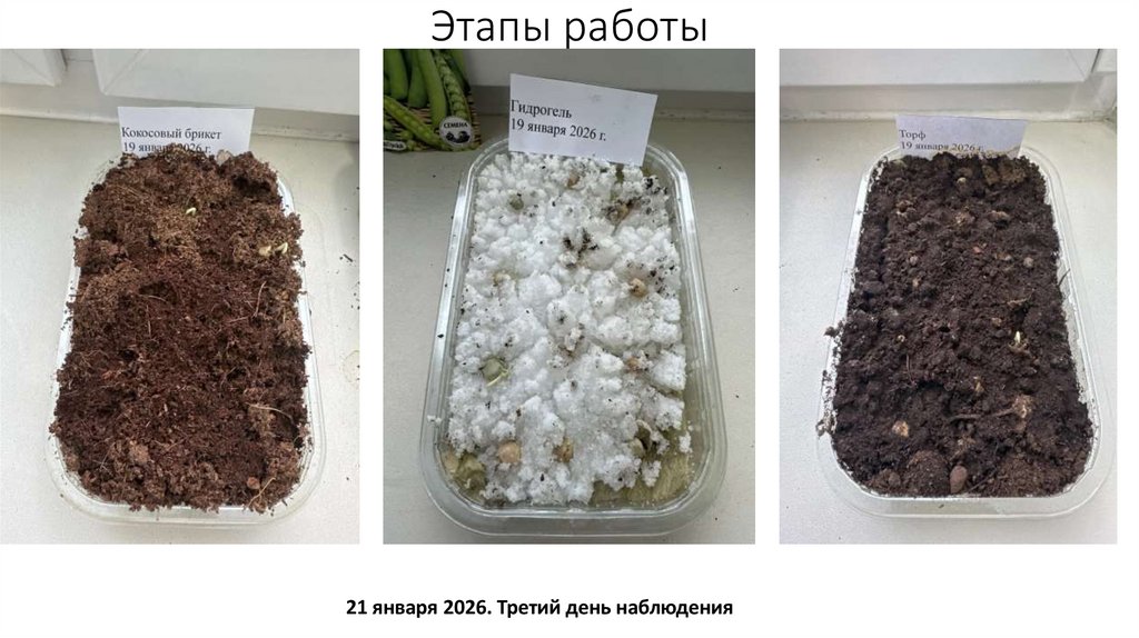 Этапы работы