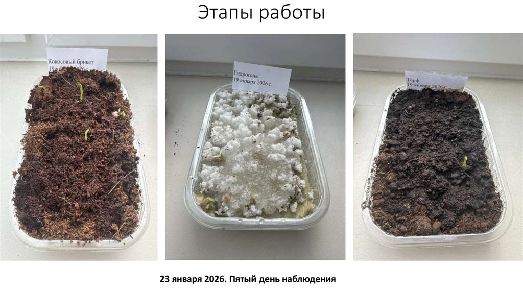 Этапы работы