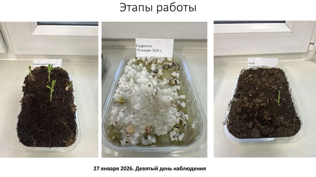 Этапы работы