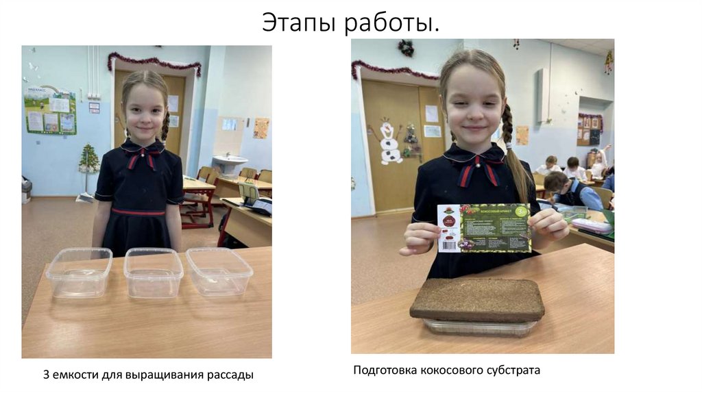 Этапы работы.