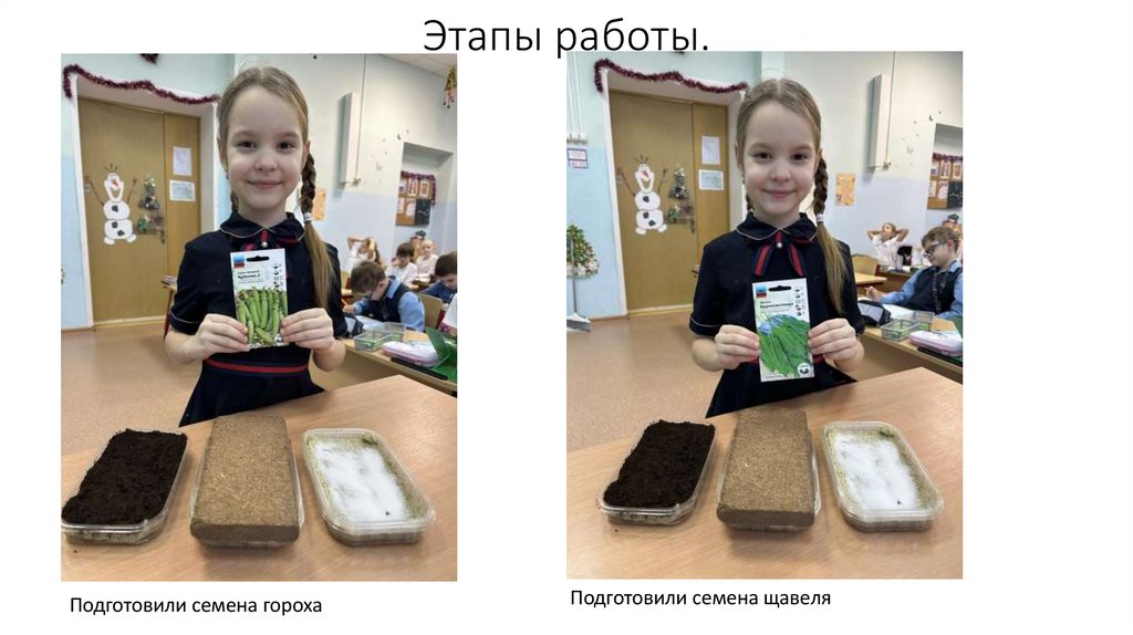 Этапы работы.