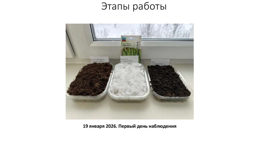 Этапы работы