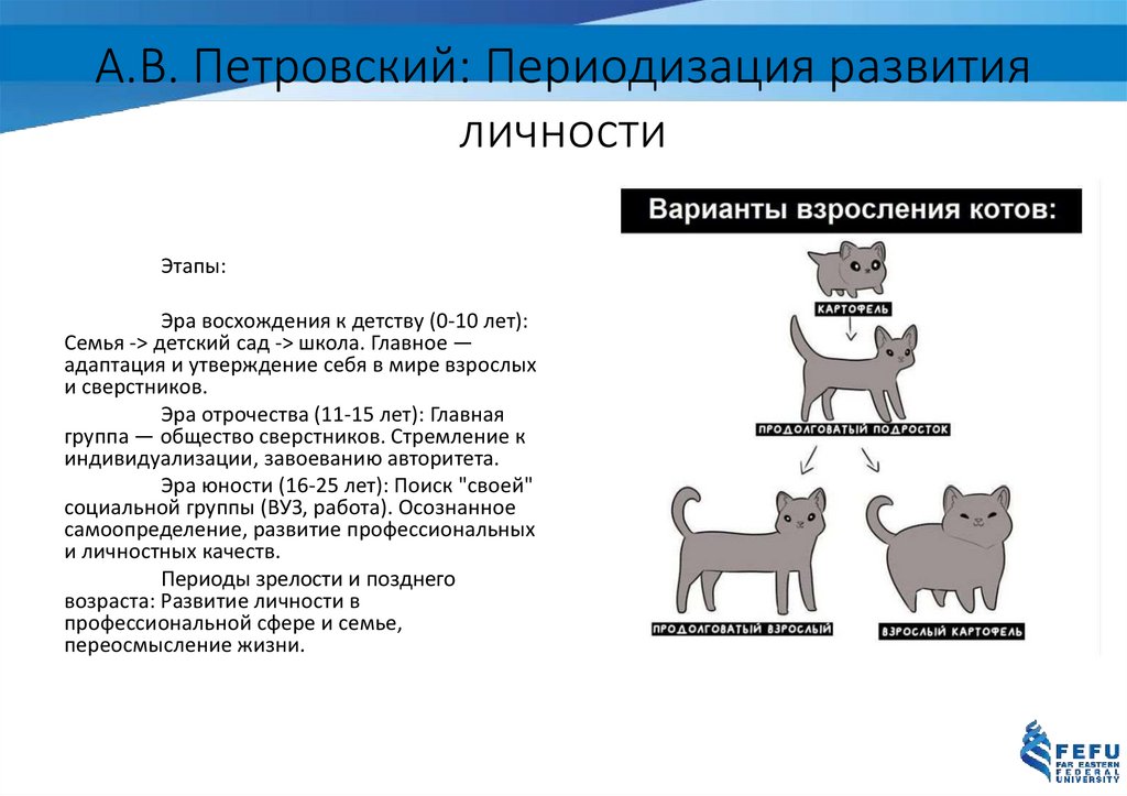 А.В. Петровский: Периодизация развития личности