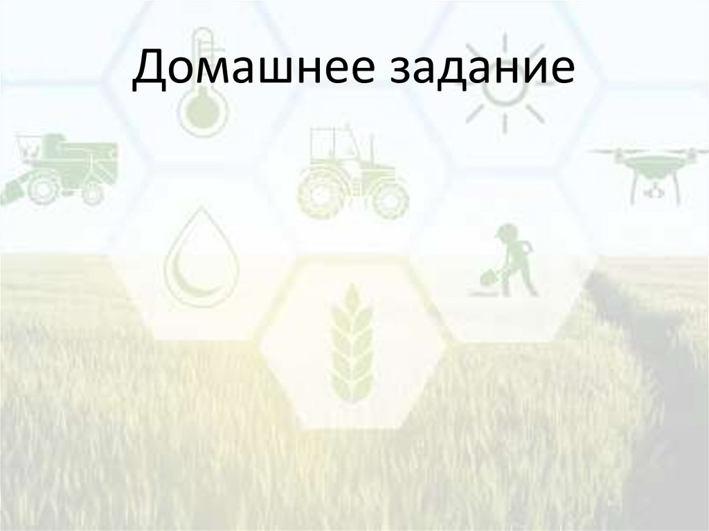 Домашнее задание