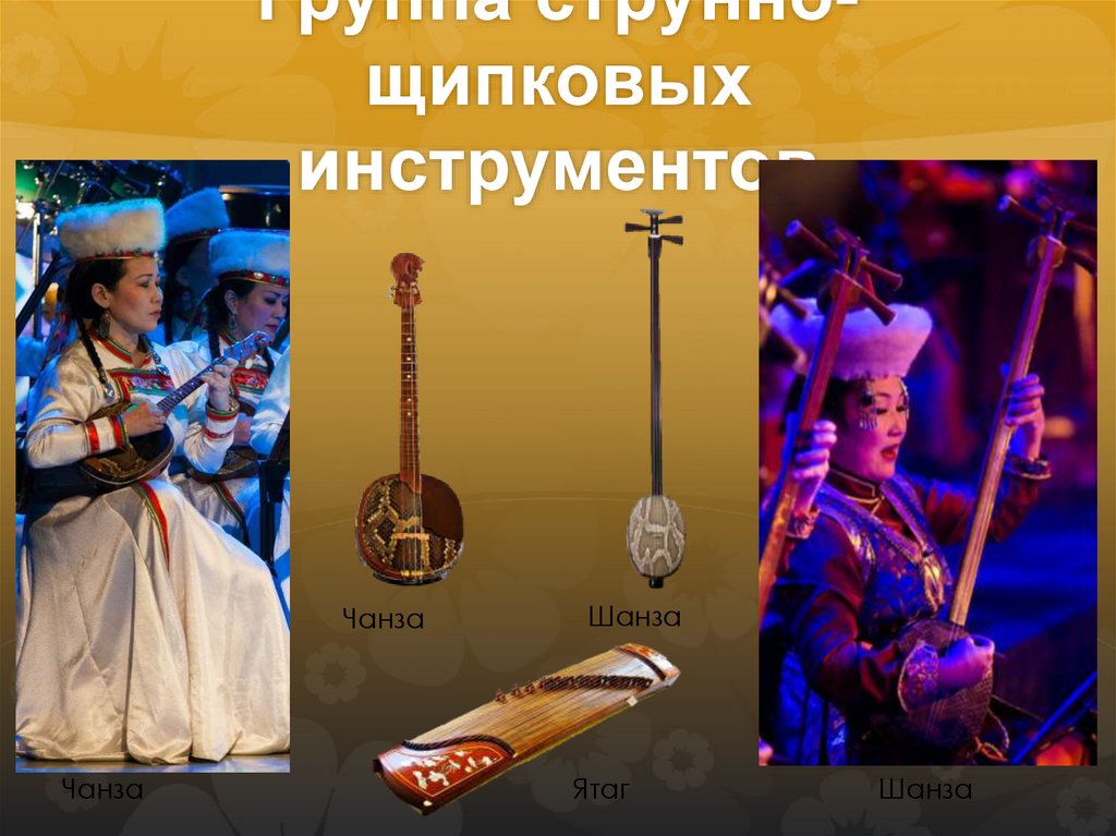 Группа струнно-щипковых инструментов