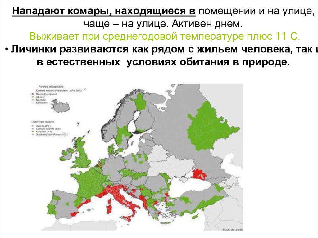 Нападают комары, находящиеся в помещении и на улице, чаще – на улице. Активен днем. Выживает при среднегодовой температуре плюс