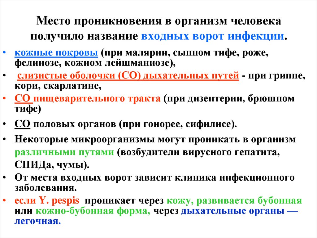 Место проникновения в организм человека получило название входных ворот инфекции.