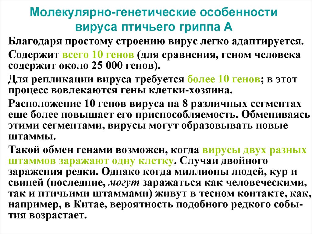 Молекулярно-генетические особенности вируса птичьего гриппа А