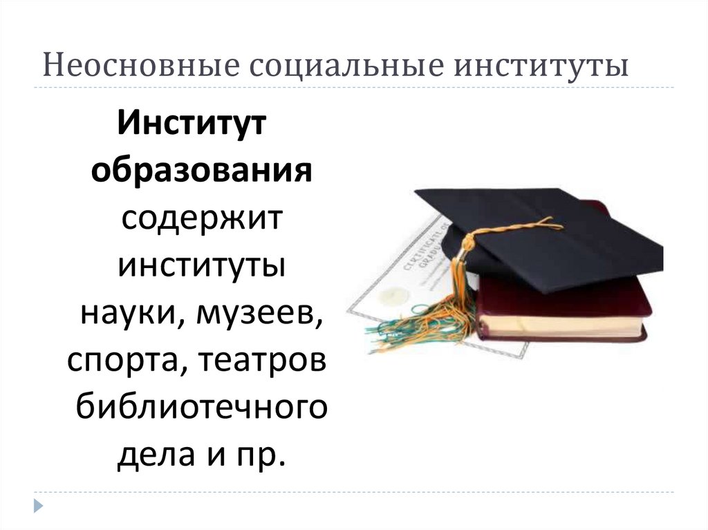 Неосновные социальные институты