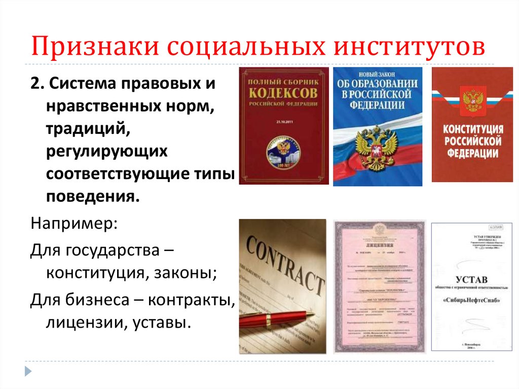 Признаки социальных институтов