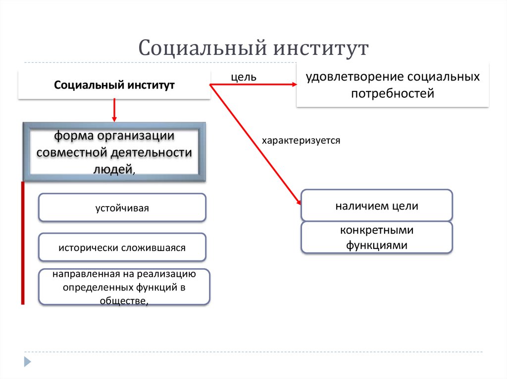 Социальный институт