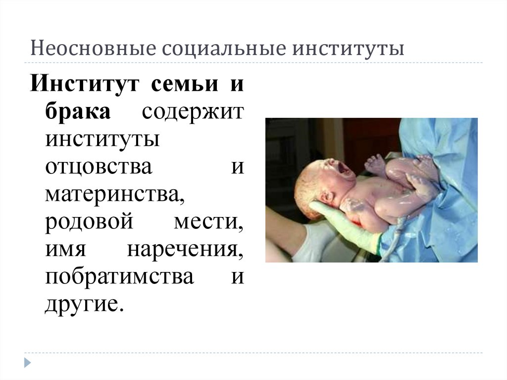 Неосновные социальные институты