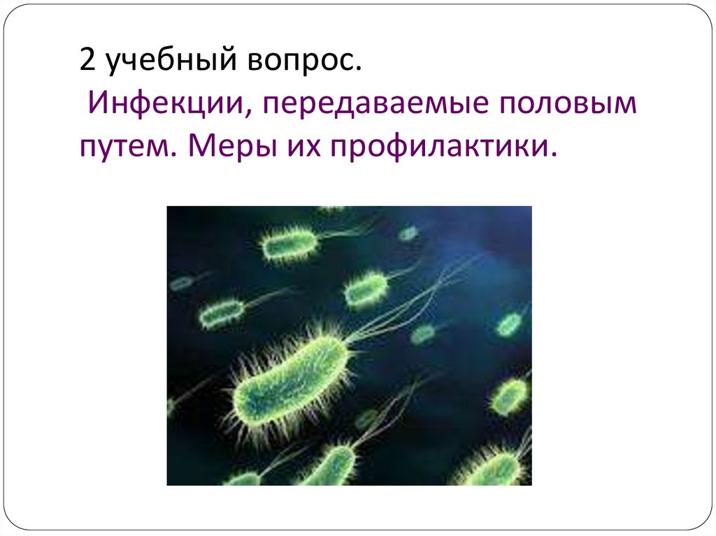 2 учебный вопрос. Инфекции, передаваемые половым путем. Меры их профилактики.