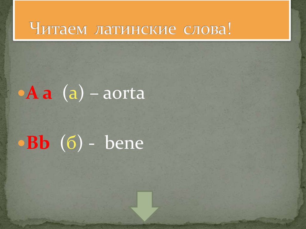 Читаем латинские слова!