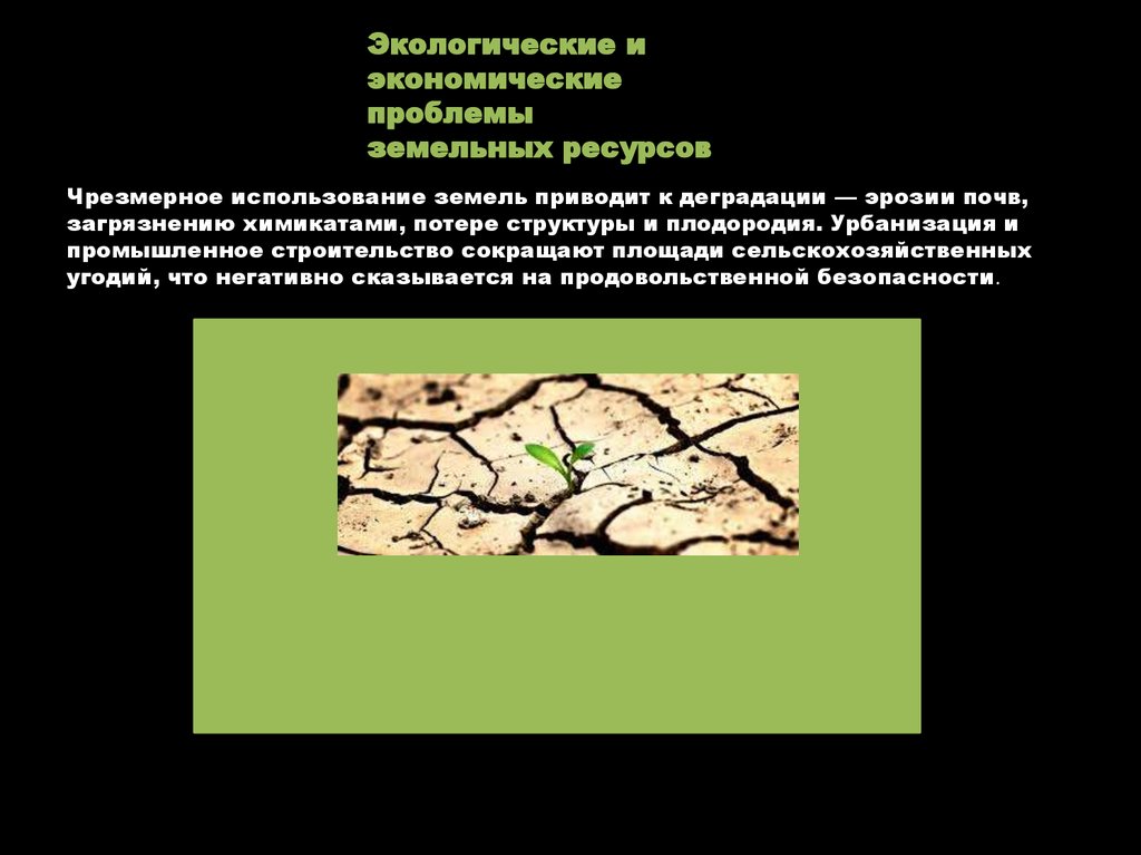 Экологические и экономические проблемы земельных ресурсов
