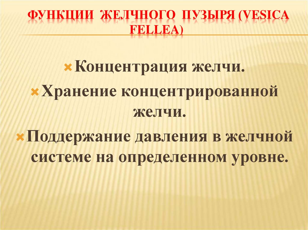 ФУНКЦИИ ЖЕЛЧНОГО ПУЗЫРЯ (vesica Fellea)