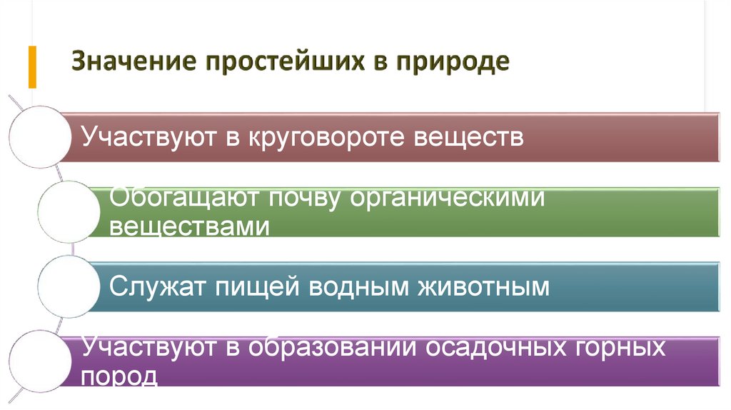 Значение простейших в природе