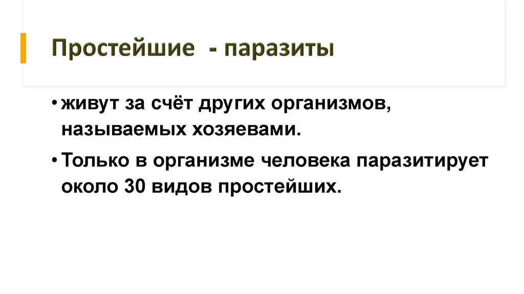 Простейшие - паразиты