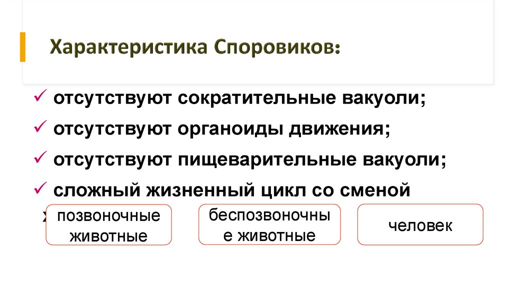 Характеристика Споровиков: