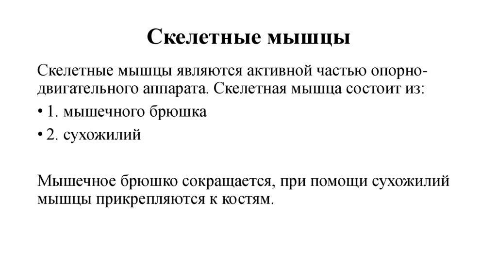 Скелетные мышцы