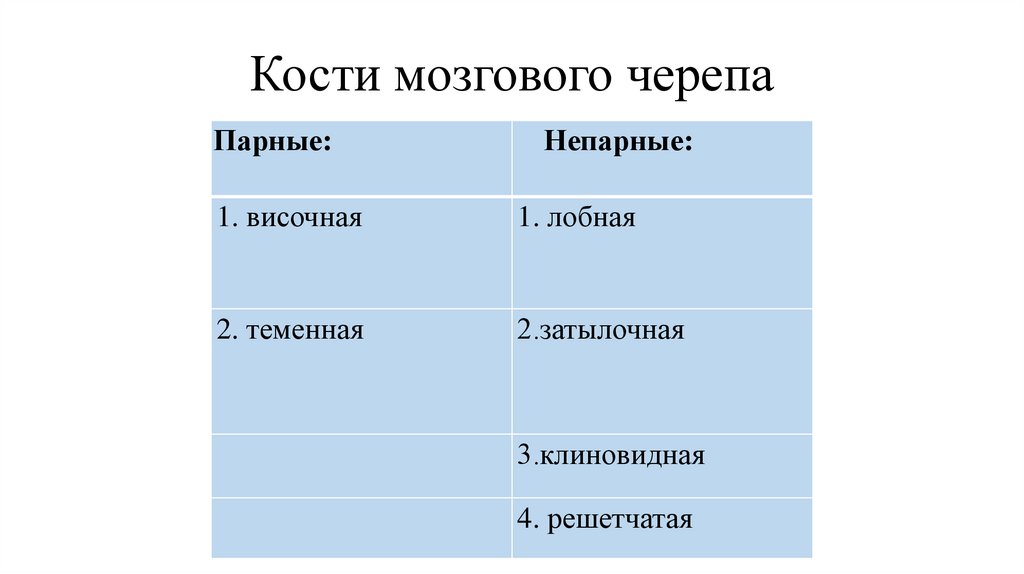 Кости мозгового черепа