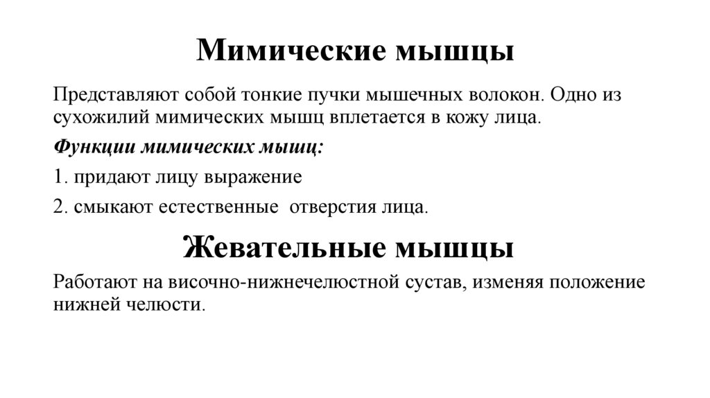 Мимические мышцы