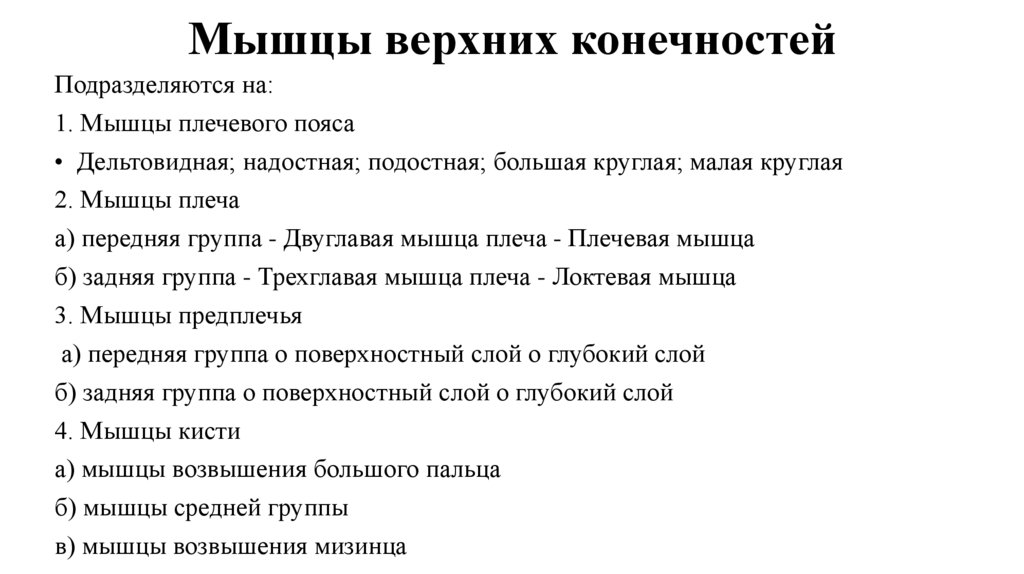 Мышцы верхних конечностей