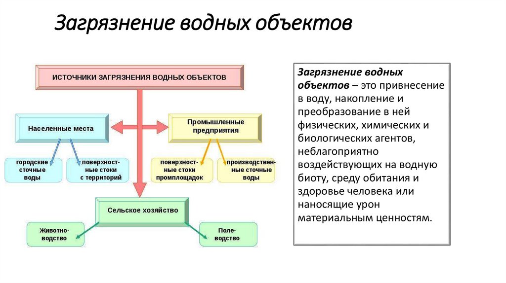 Загрязнение водных объектов