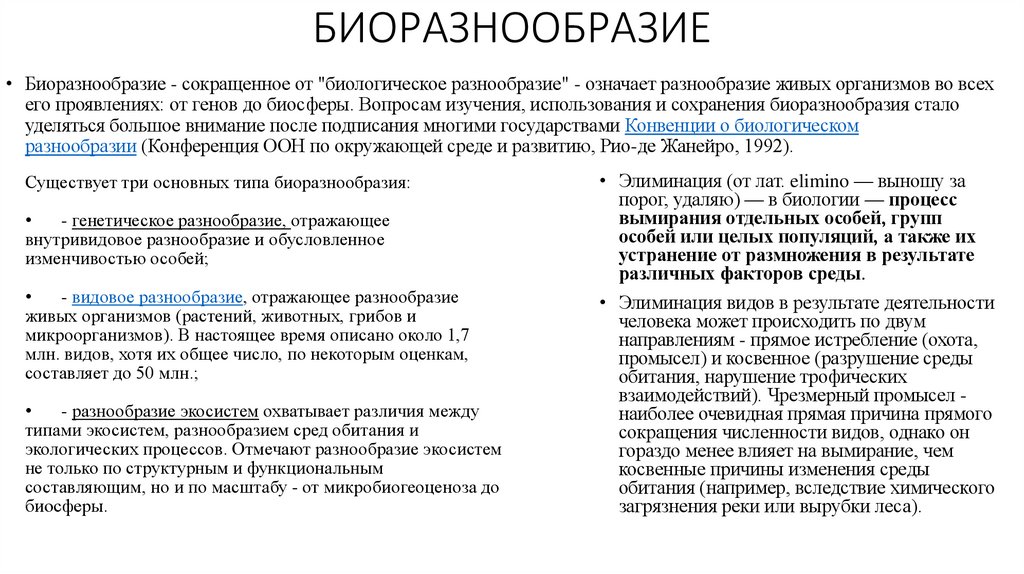 БИОРАЗНООБРАЗИЕ