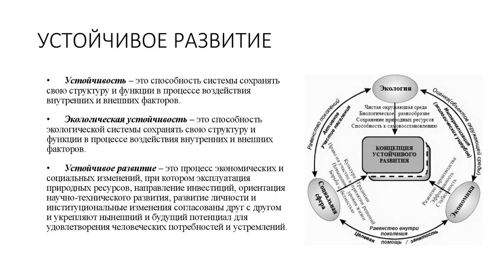 УСТОЙЧИВОЕ РАЗВИТИЕ