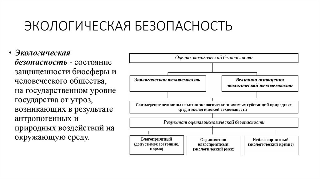 ЭКОЛОГИЧЕСКАЯ БЕЗОПАСНОСТЬ