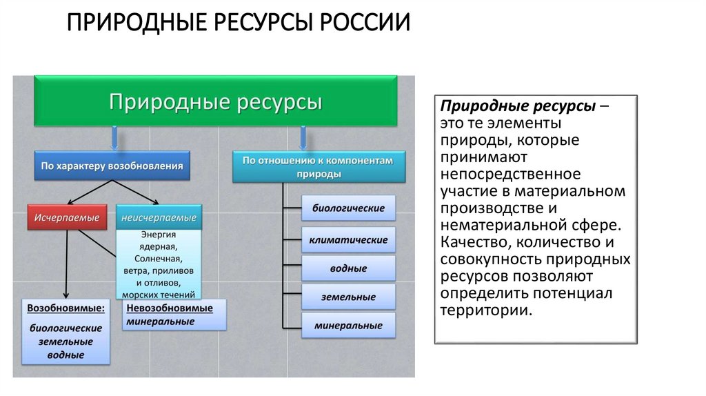 ПРИРОДНЫЕ РЕСУРСЫ РОССИИ