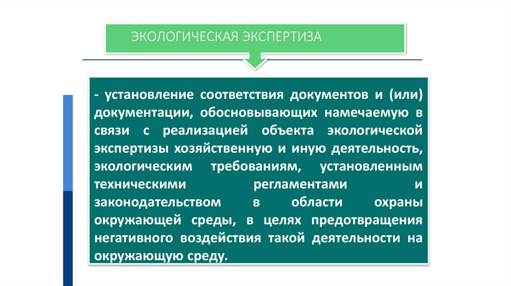 ЭКОЛОГИЧЕСКАЯ ЭКСПЕРТИЗА