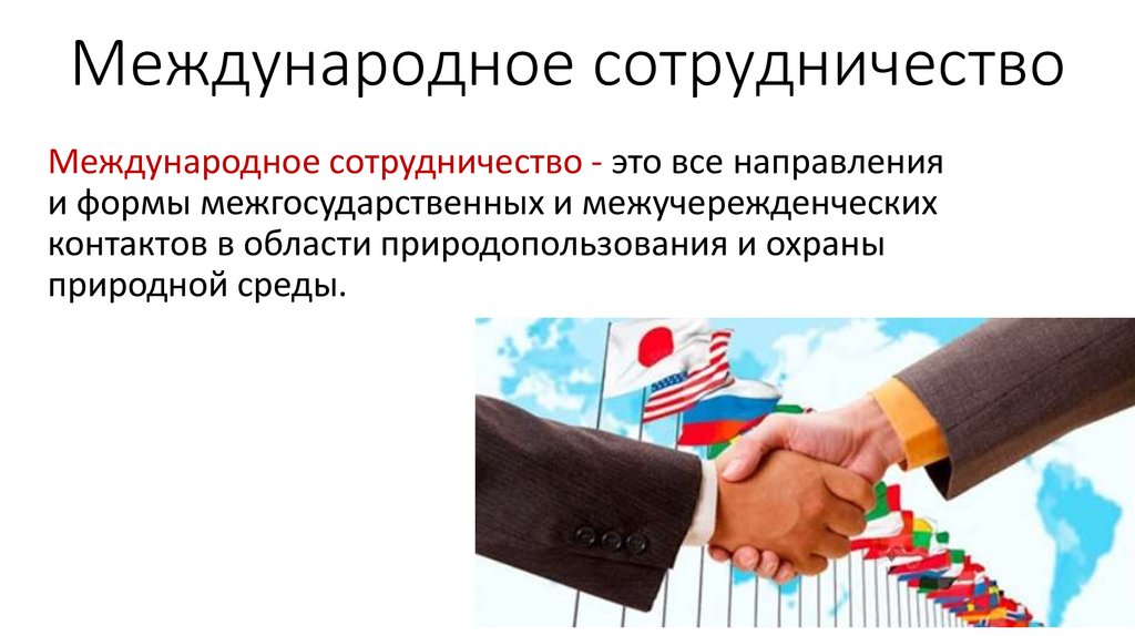 Международное сотрудничество