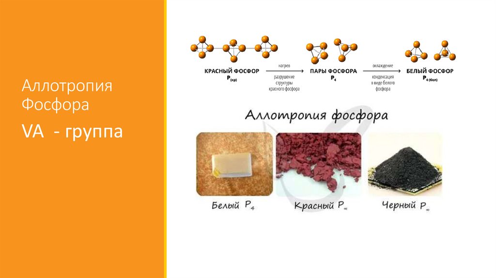 Аллотропия Фосфора