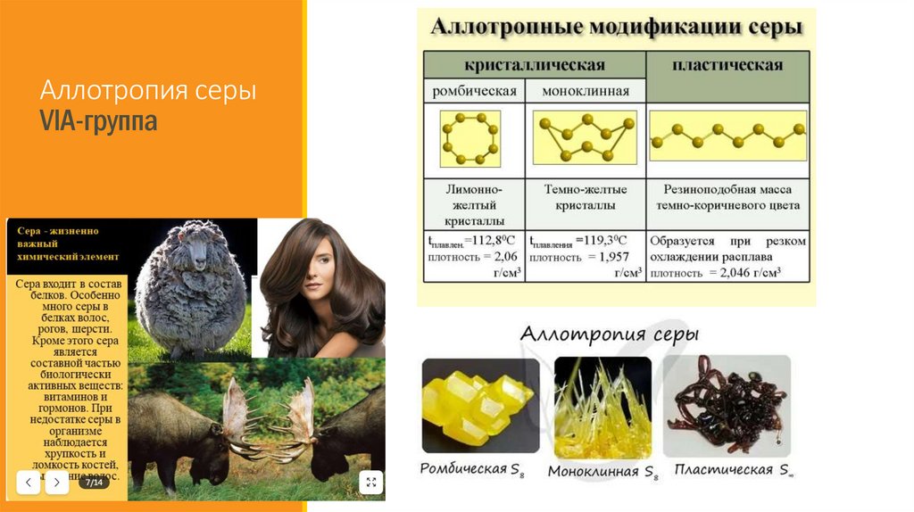 Аллотропия серы VIА-группа