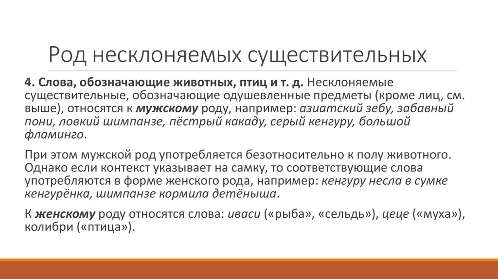 Род несклоняемых существительных