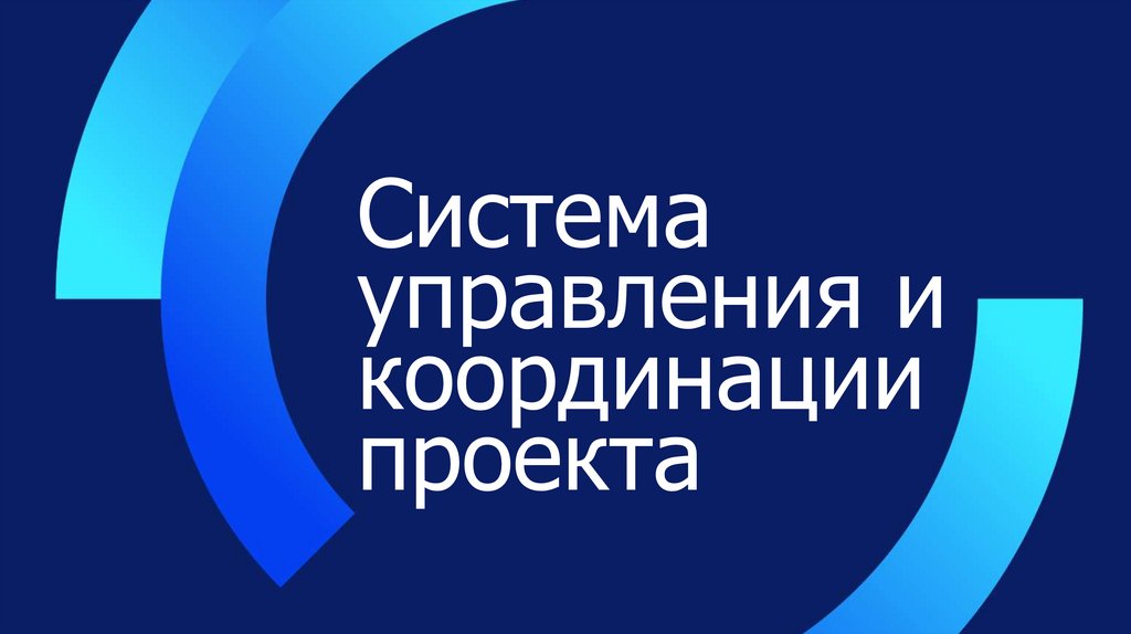 Система управления и координации проекта