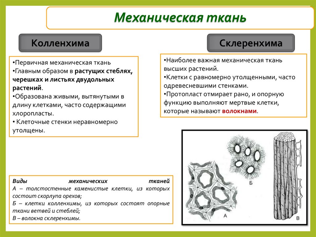 Механическая ткань