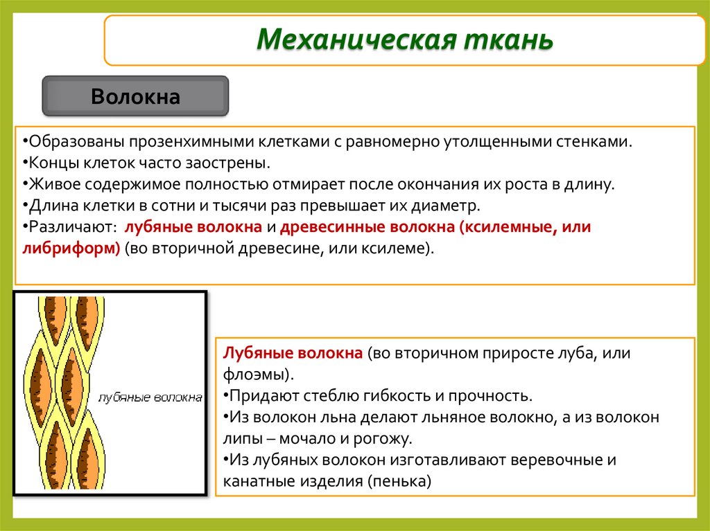 Механическая ткань